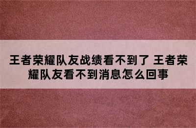 王者荣耀队友战绩看不到了 王者荣耀队友看不到消息怎么回事